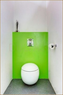 Дизайн туалета (150 фото интерьера, 1 видео)