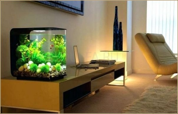Как использовать аквариум в интерьере