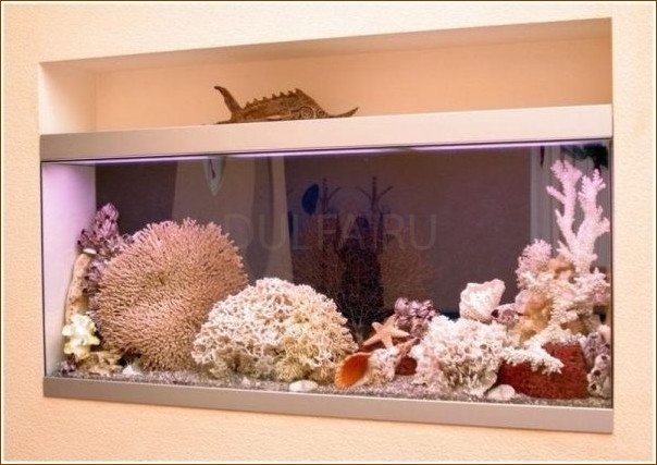 Использование старого аквариума в интерьере