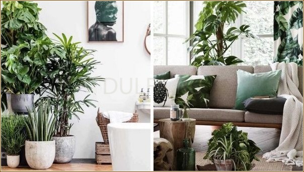 Как выбрать комнатные растения для гостиной?