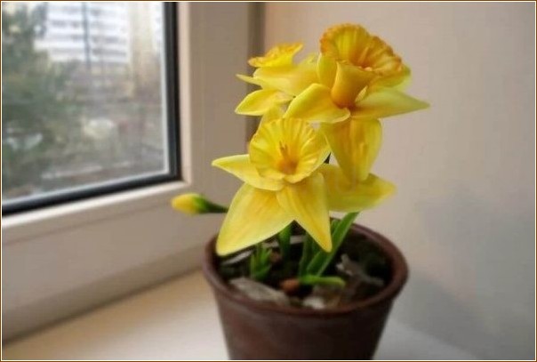 Top 8 deadly plants you can have in your home