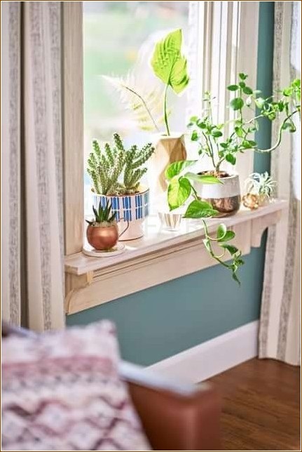 Window sill decoration options (window sill) Window sill decoration options