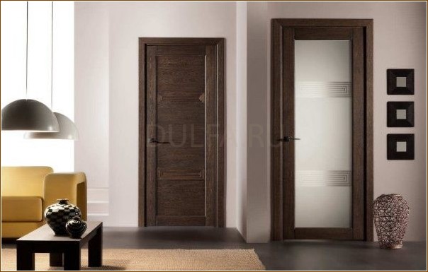 The most practical doors for the home