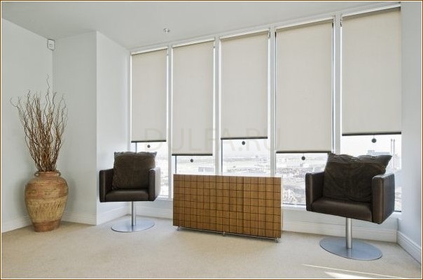 The choice of blinds for the home: types and features